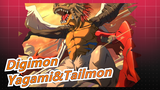 Digimon|[TVB/Digimon Adventure]EP34-Yagani&Tailmon