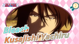 [Bleach] Kusajishi Yachiru's Friend, Only True Fans Know His Name!_2
