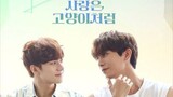 LOVE IS LIKE A CAT EP4 /SUB INDO