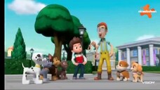 Paw patrol Musim 9 Episode 19 dan 20 Bahasa indonesia Vision+