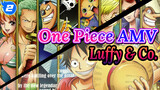 Hải Tặc Mũ Rơm: Luffy & Băng đảng | Tổng hợp One Piece_2