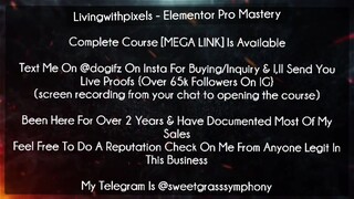 Livingwithpixels Course Elementor Pro Mastery download