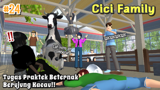 CICI FAMILY [ TUGAS PRAKTEK BETERNAK BERUJUNG KACAU!! ] | SAKURA SCHOOL SIMULATOR