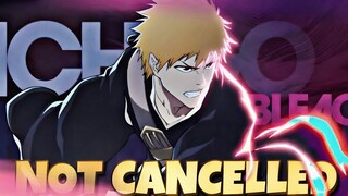 BLEACH SOUL REASONANCE MAY STILL HAPPEN BUT DIFFERENT DEV TEAM ?!