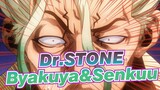 Dr.STONE|[SAD AMV]Via Byakuya, admiring Senkuu