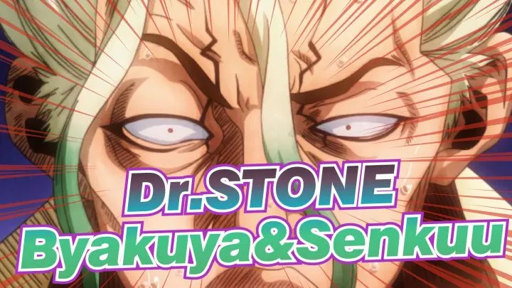 ホワイマンの正体はスイカ Dr Stone石化の黒幕の正体を考察 アインシュタイン 羽京 ホワイマン Bstation