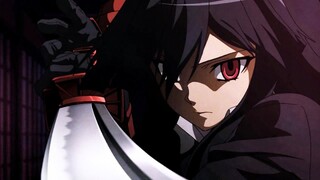 AMV In Shadows