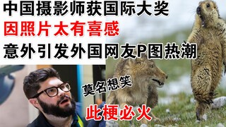 中国摄影师获国际大奖！因获奖照片太有喜感，意外引发外国网友p图热潮