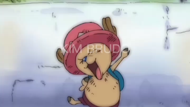 chopper cute moment