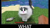Minecraft รออะไร meme part 143 minecraft cat wool ที่เหมือนจริง