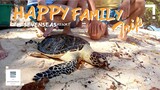 Happy Family Trip @ SEVEN SEAS Resort [EP 3]