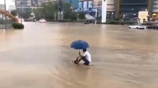 “雨天迷惑图鉴”