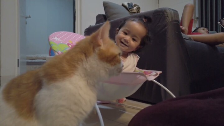 Begini Tingkah Bayi Gemes Sama 🐱 kucing