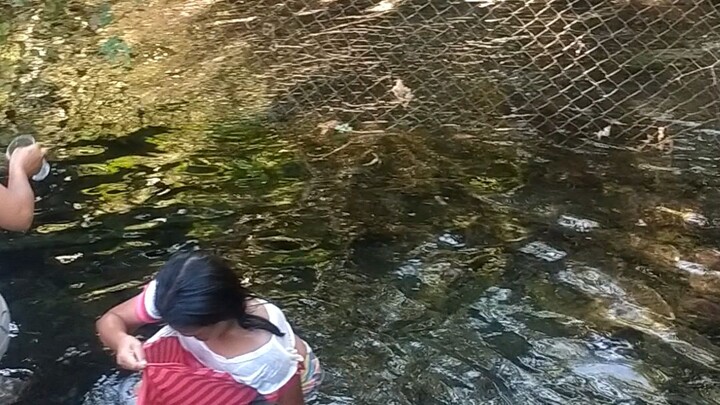 fresh water in the Middle of forest..