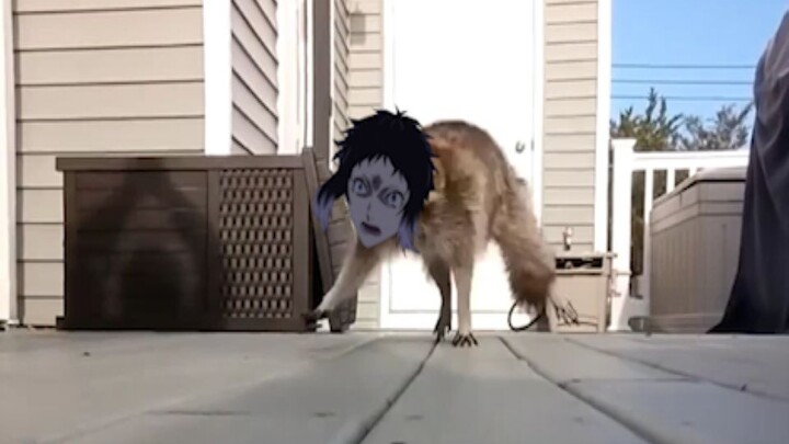 Attack from Akutagawa infected by seniors