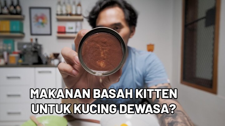 Makanan Basah Kitten Boleh Untuk Kucing Dewasa?