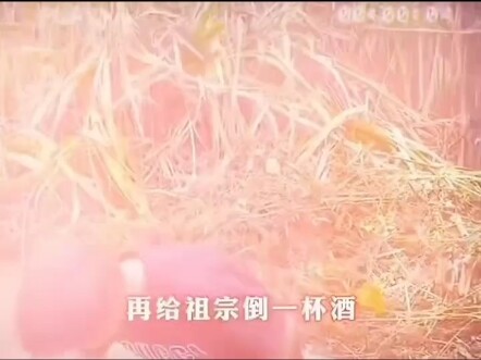 新年新愿望，祖宗保佑！蛇来运转，吉光焕彩
