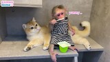 Monyet Mengajari Anak Kucing Minum Yogurt