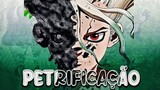 Explicando a Petrificação de Dr. Stone