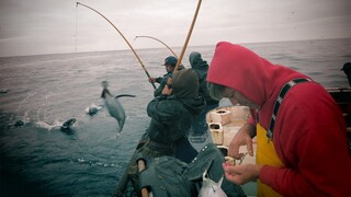 Catching Seafood 🦀 ASMR Relaxing (Catch Shark , Catch Fish ,Deep Sea Monster )