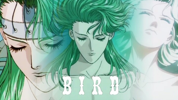 【KI・ME・RA】 BIRD ‖ นกในกรง (รูปโบราณปี 2539 งดงามมาก)