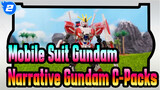 [Mobile Suit Gundam/Repost] Narrative Gundam C-Packs_2