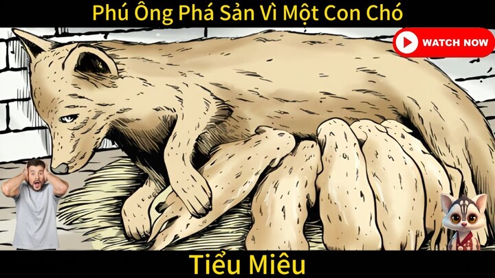 Địa Chủ Phá Sản Chỉ Vì Một Con Chó - Hoạt Hình Ngắn -Tiểu Miêu Amimation