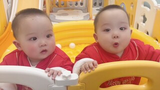 万万没想到，圆子学会的第一个称呼竟然是“哥哥”，不行了，老母亲要去哭一会，太感动了。