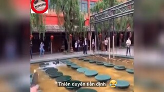 các chúa hề ngoài đời thực p95#FUNNY