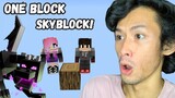 THE END! | ONE BLOCK SKYBLOCK HACKERS | MINECRAFT PE #6