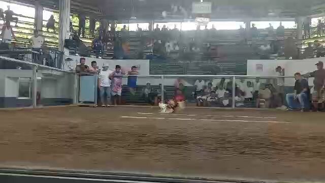 6combo final.scoreWWWLLN/F