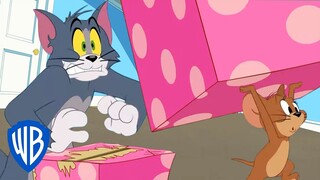 Tom & Jerry em Português 🇧🇷 | Brasil | A Caixa Misteriosa | WB Kids