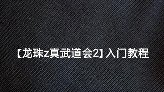 【龙珠z 真武道会2】最全入门教程