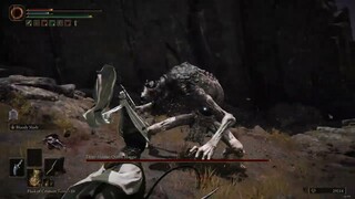 Elden Ring - Boss #95 - Demi-Human Queen Maggie