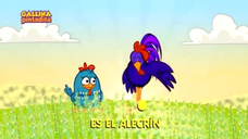 Alecrín Dorado - DVD - Gallina Pintadita 2