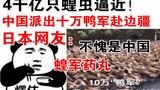 Four hundred billion locusts are approaching! China sent 100,000 duck troops to the border areas, an