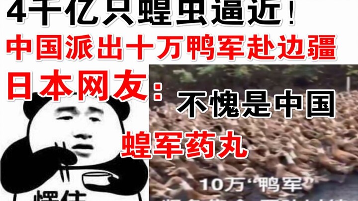 四千亿只蝗虫逼近！中国派出十万鸭军赴边疆，消息传到日本论坛。日本网友：不愧是中国啊！