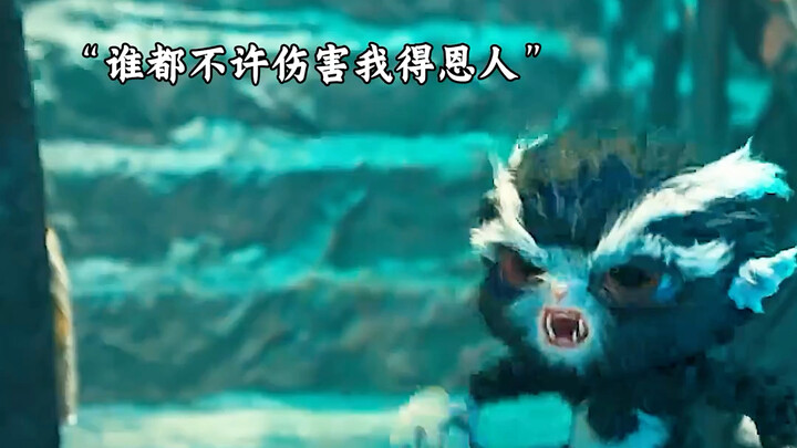 你救我一次，我护你一生