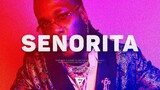 [FREE] "Senorita" - Burna Boy x Wizkid x Tems Type Beat 2021 | Afroswing Instrumental