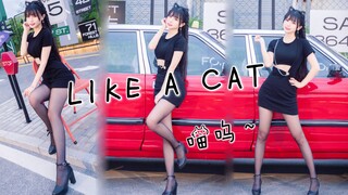 想要偷走你的心~♥猫步轻俏♥【楚鸢】