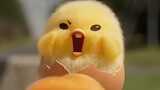 Akankah kuning telurnya rata? ! Trailer resmi animasi komedi Netflix "The Adventures of Yolk".