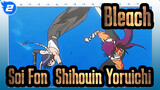 Bleach
Soi Fon&Shihouin Yoruichi_2
