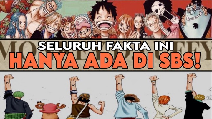 SELURUH FAKTA ANTI MAINSTREAM KRU TOPI JERAMI - ONE PIECE