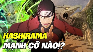 Tất Tần Tật Sự Thật Về Đệ Nhất Hashirama - Nhẫn Giả Thánh Nhân I Khám Phá Naruto