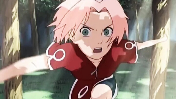 【Sakura trong Naruto op】 Bạn đã xem chưa?