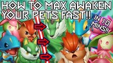 HOW TO MAX AWAKEN YOUR PETS REALLY FAST IN TRAINERS ARENA || BLOCKMAN GO #BMGO