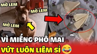 Má làm phô mai để bán 'Con trai cưng" ngồi chờ sẵn ở cửa xin vài miếng😂| Yêu Lu