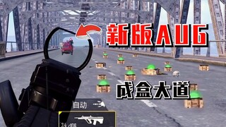 新版本AUG堵桥，成盒大道！