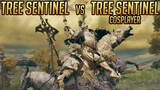 [NG+9] Tree Sentinel VS Tree Sentinel Cosplayer