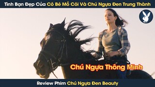 [Review Phim] Tình Bạn Đẹp Của Cô Bé Mồ Côi Và Chú Ngựa Đen Trung Thành